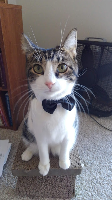 Winston